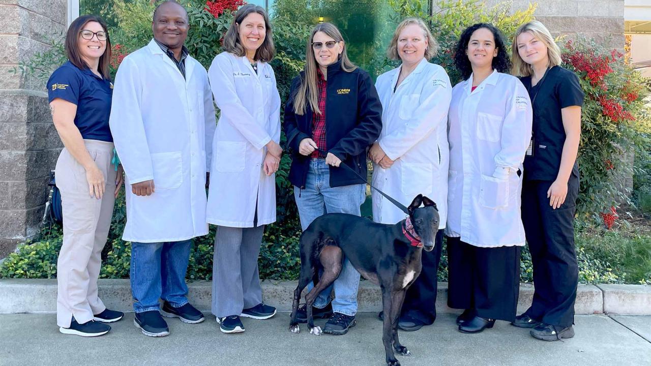 7 people and a dogMembers of the Comparative Ophthalmology and Vision Sciences Laboratory team, from left: Monica Motta, Uchenna Nlebedum, Sara Thomasy, Jennifer Butler, Michelle Ferneding, Ana Raposo and Paige Karpinen. (UC Davis photo)